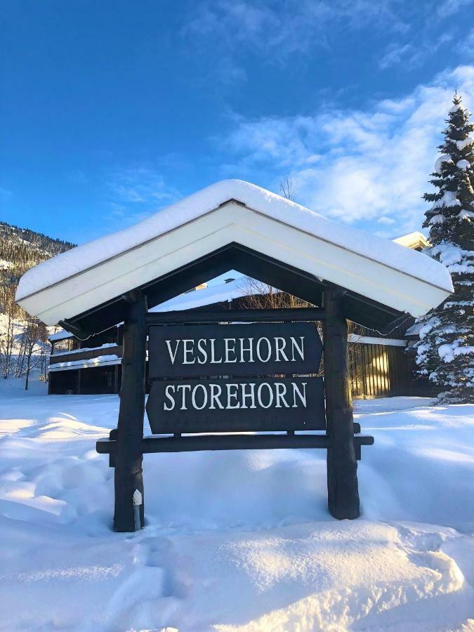 Storehorn Apartments Hemsedal Kültér fotó
